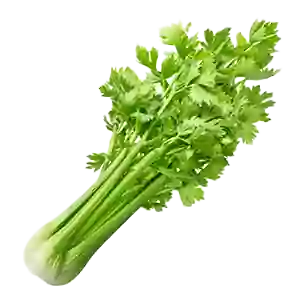 Vegetables Name in Hindi and English