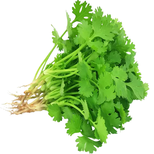 Vegetables Names In Gujarati