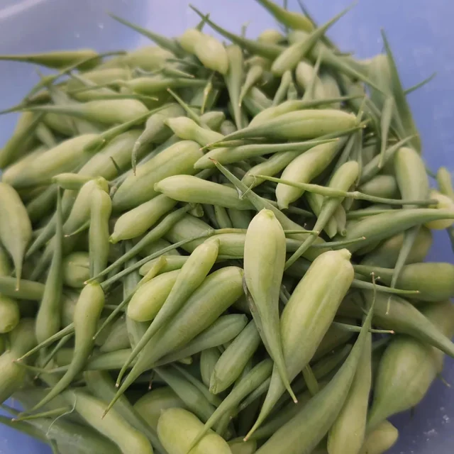 Vegetables Names In Gujarati