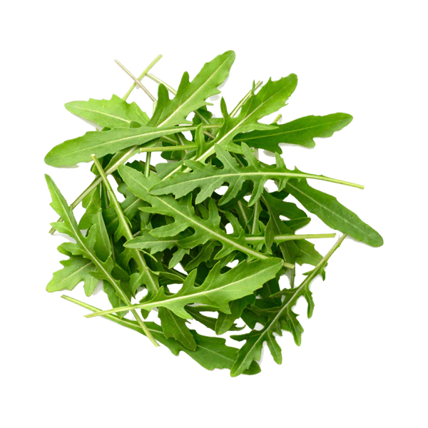 Green Vegetables Names In Hindi