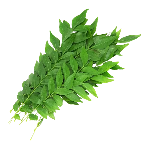 Green Leafy Vegetables Name In Telugu