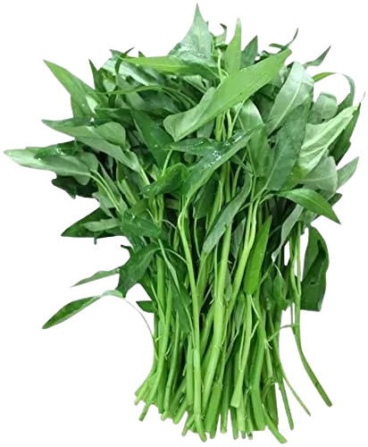 Green Vegetables Names In Hindi