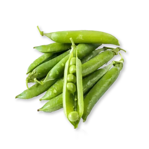 Green Vegetables Names In Hindi