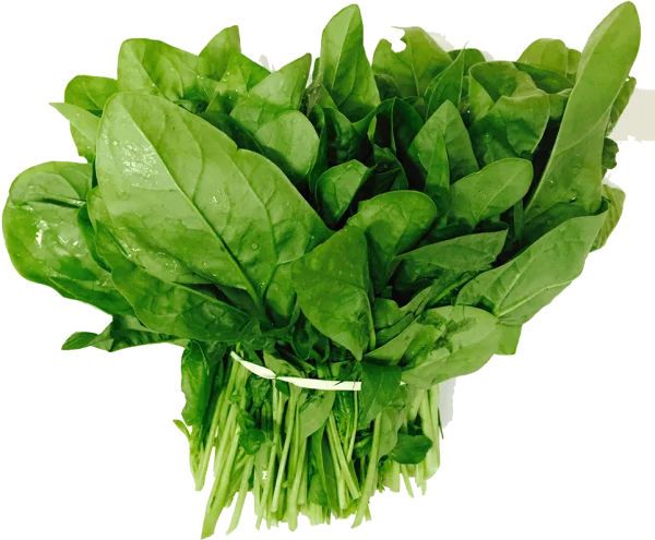 Green Vegetables Names In Hindi