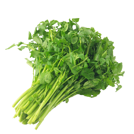 Green Vegetables Names In Hindi