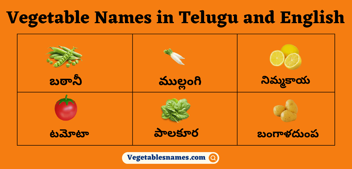 Vegetables Names in Telugu and English