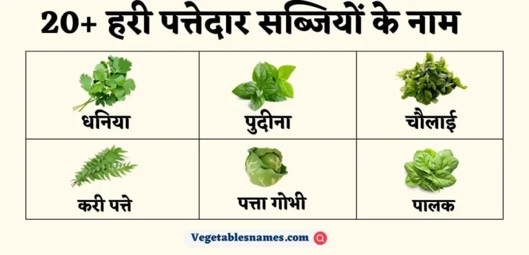 Green Leafy Vegetables Names in Hindi