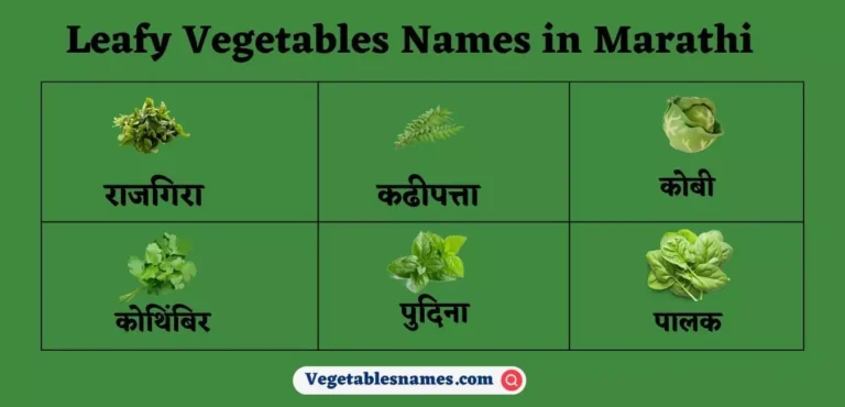 Leafy Vegetables Names in Marathi