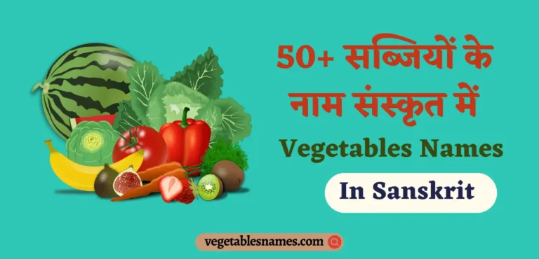 Vegetables Name In Sanskrit