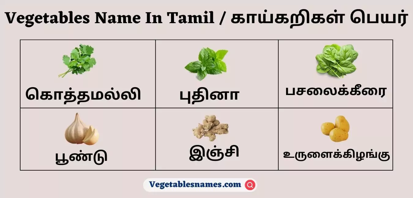 Vegetables Name In Tamil