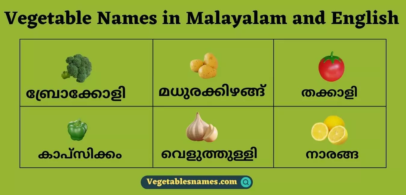 vegetables names in malayalam