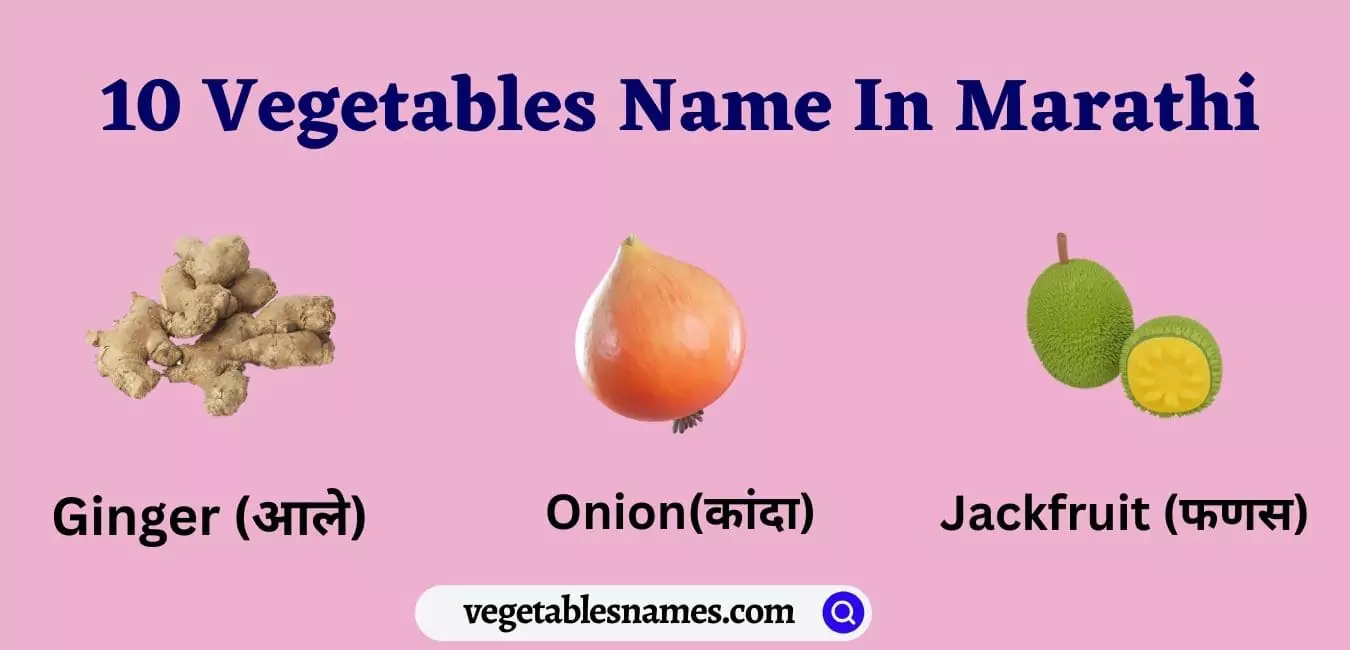 Vegetables Name In Marathi