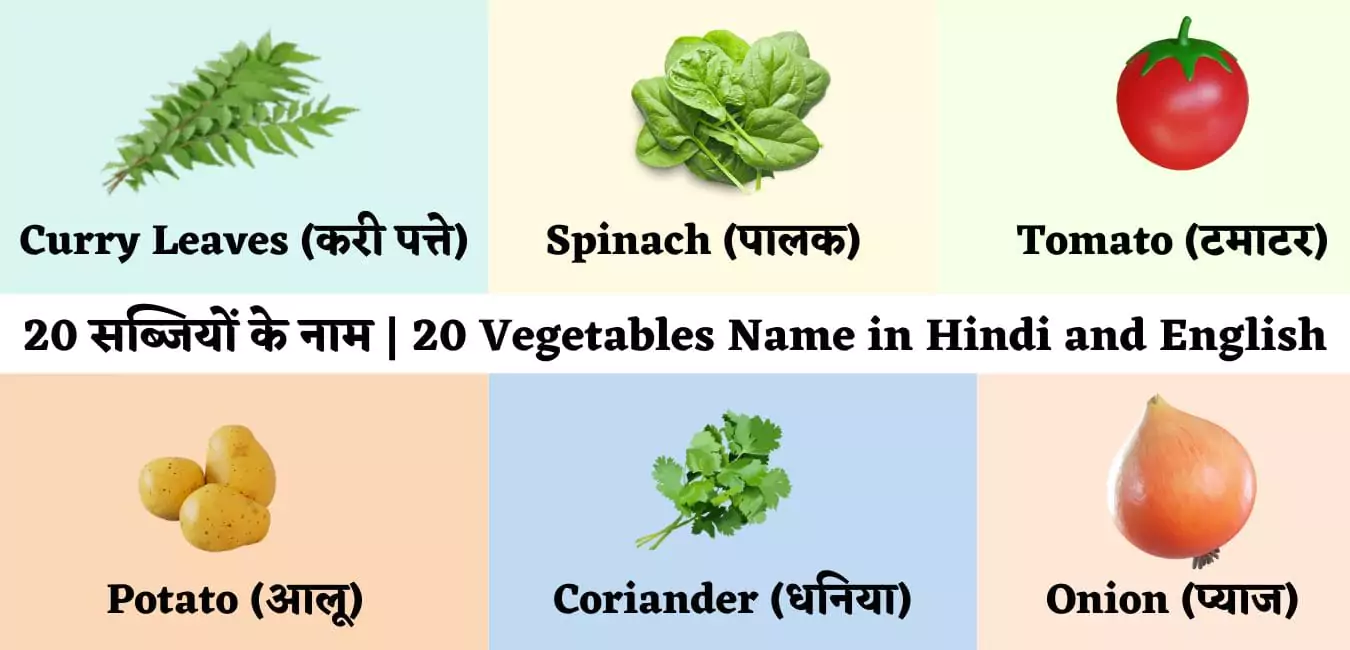 20 सब्जियों के नाम