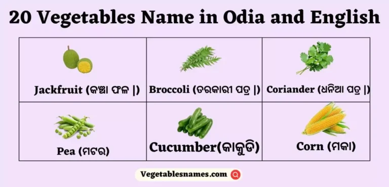 Vegetables Name In Odia