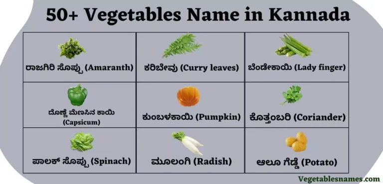 Vegetables Name in Kannada