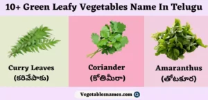 Green Leafy Vegetables Name In Telugu