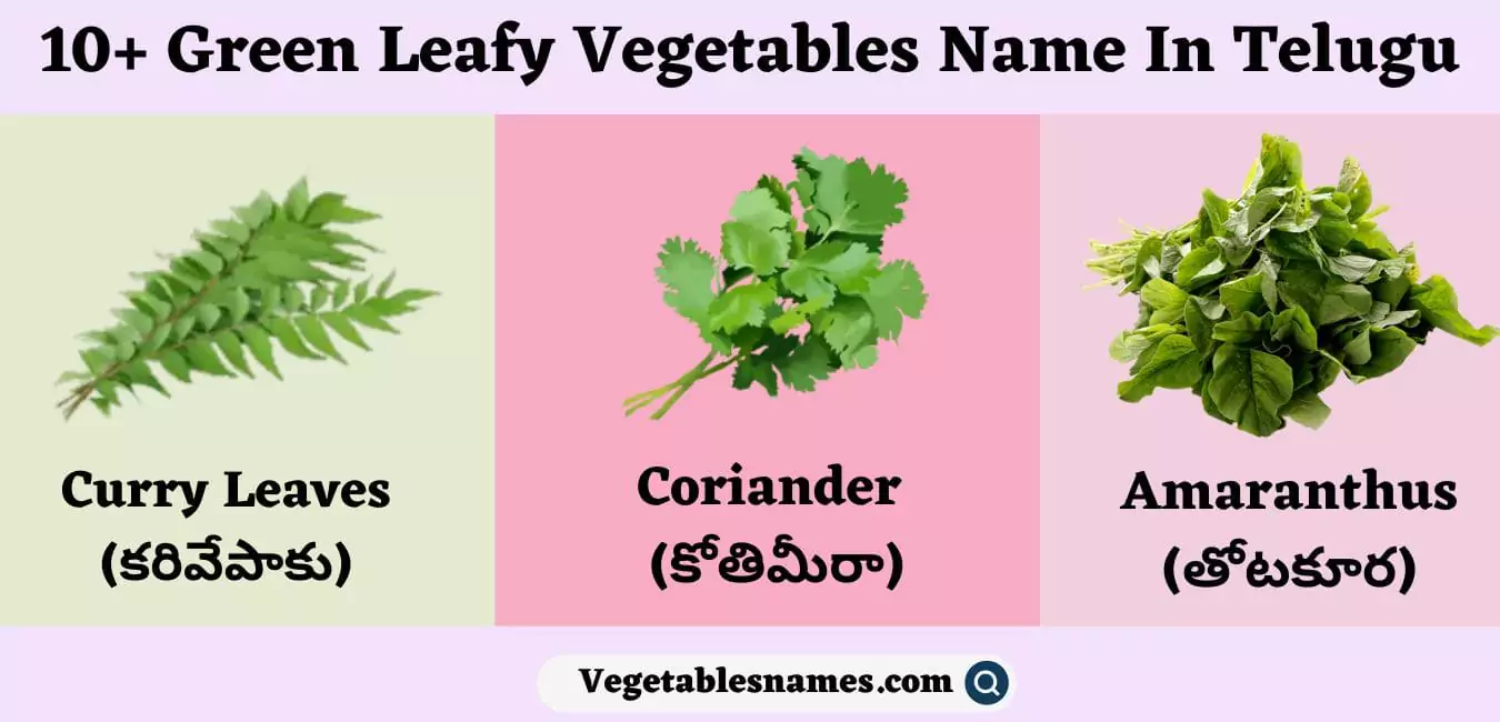 Green Leafy Vegetables Name In Telugu