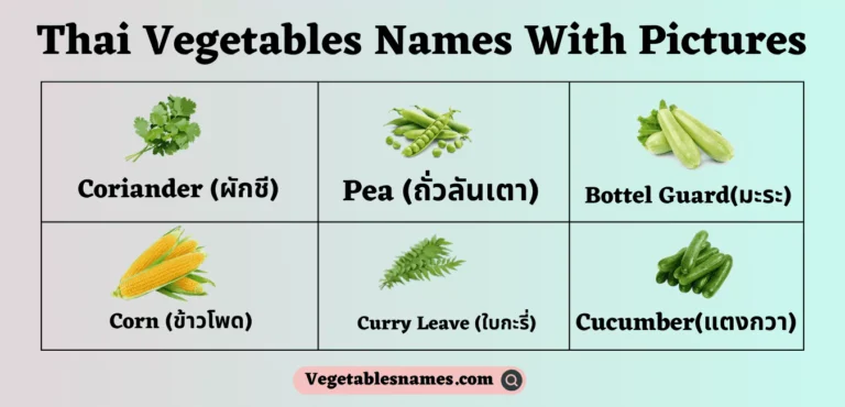 Thai Vegetables Names With Pictures