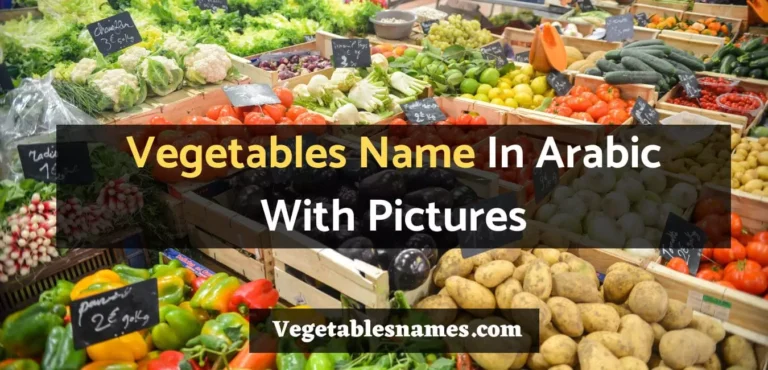 Vegetables Name In Arabic