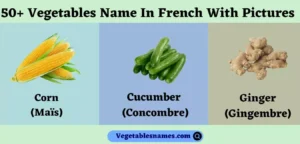 Vegetables Name In French With Pictures