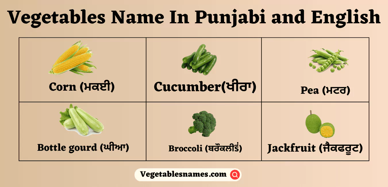 Vegetables Name In Punjabi