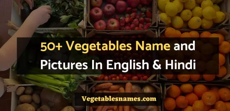 Vegetables Name and Pictures