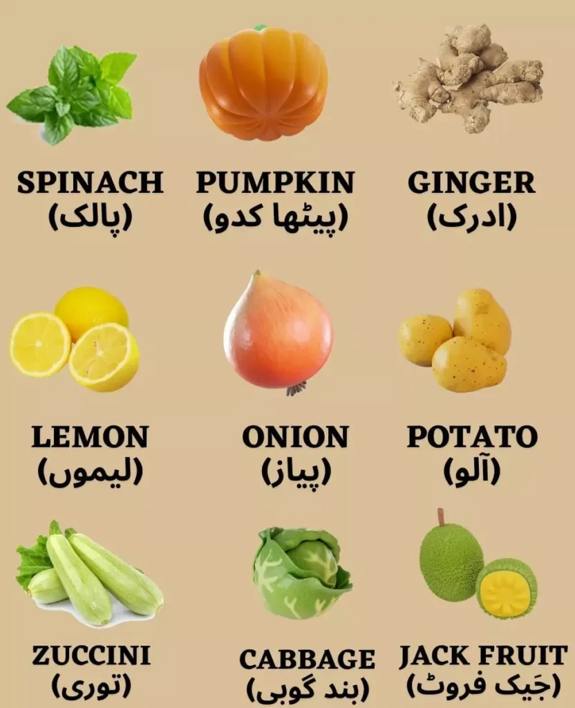 Vegetables Names In Urdu and English