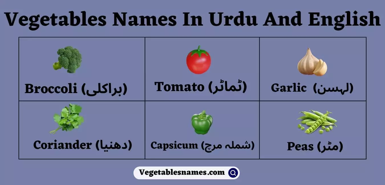 Vegetables Names In Urdu and English