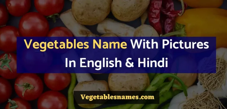 Vegetables Name With Pictures